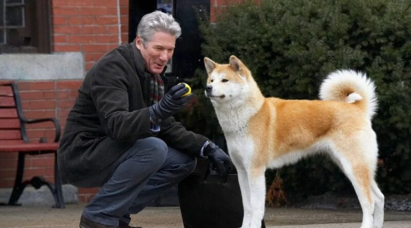 Cena do filme Sempre ao Seu Lado
